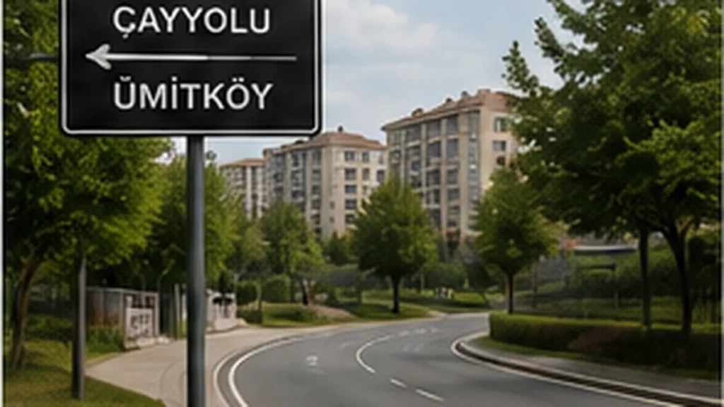 Ümitköy’den Çayyolu’na Eşya Taşıma Rehberi