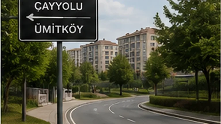 Ümitköy’den Çayyolu’na Eşya Taşıma Rehberi - Ümitköy Nakliyeci